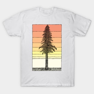 Coastal Redwood Sunset Sketch T-Shirt